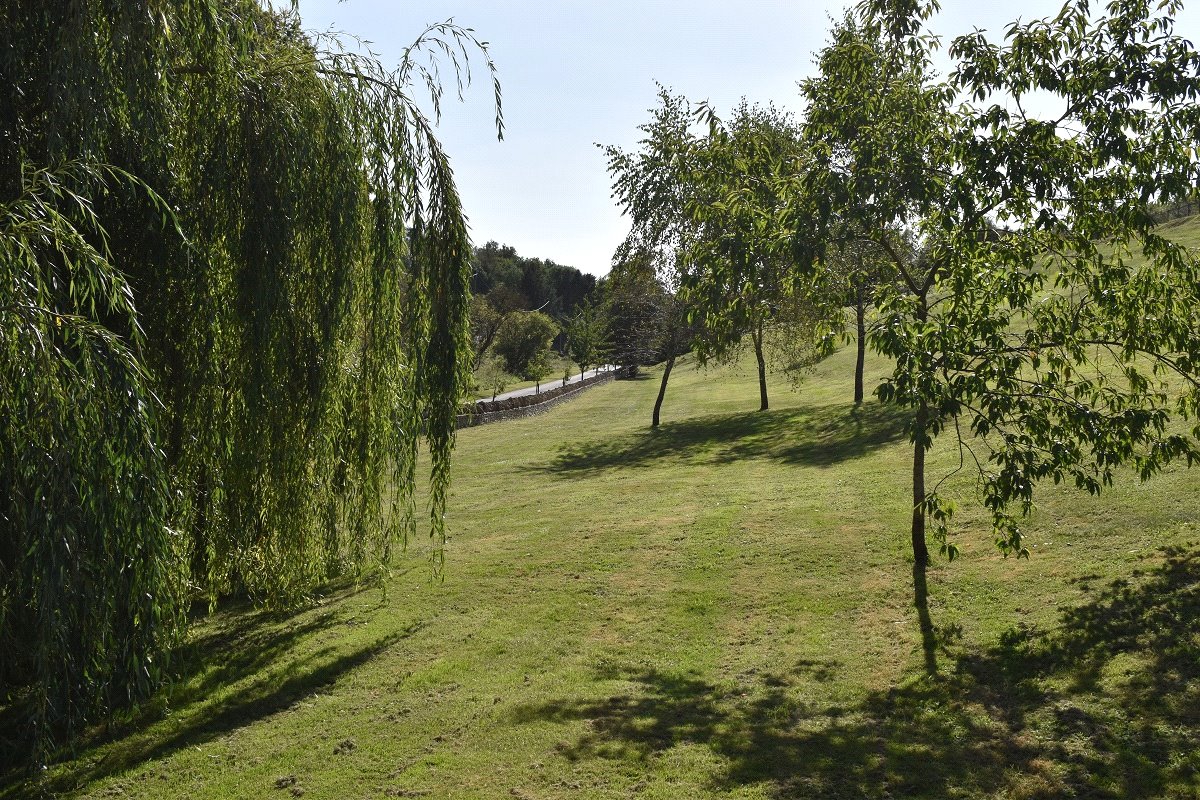 2.25  Land, Fordwells, Witney, OX29 - Available, Image 4