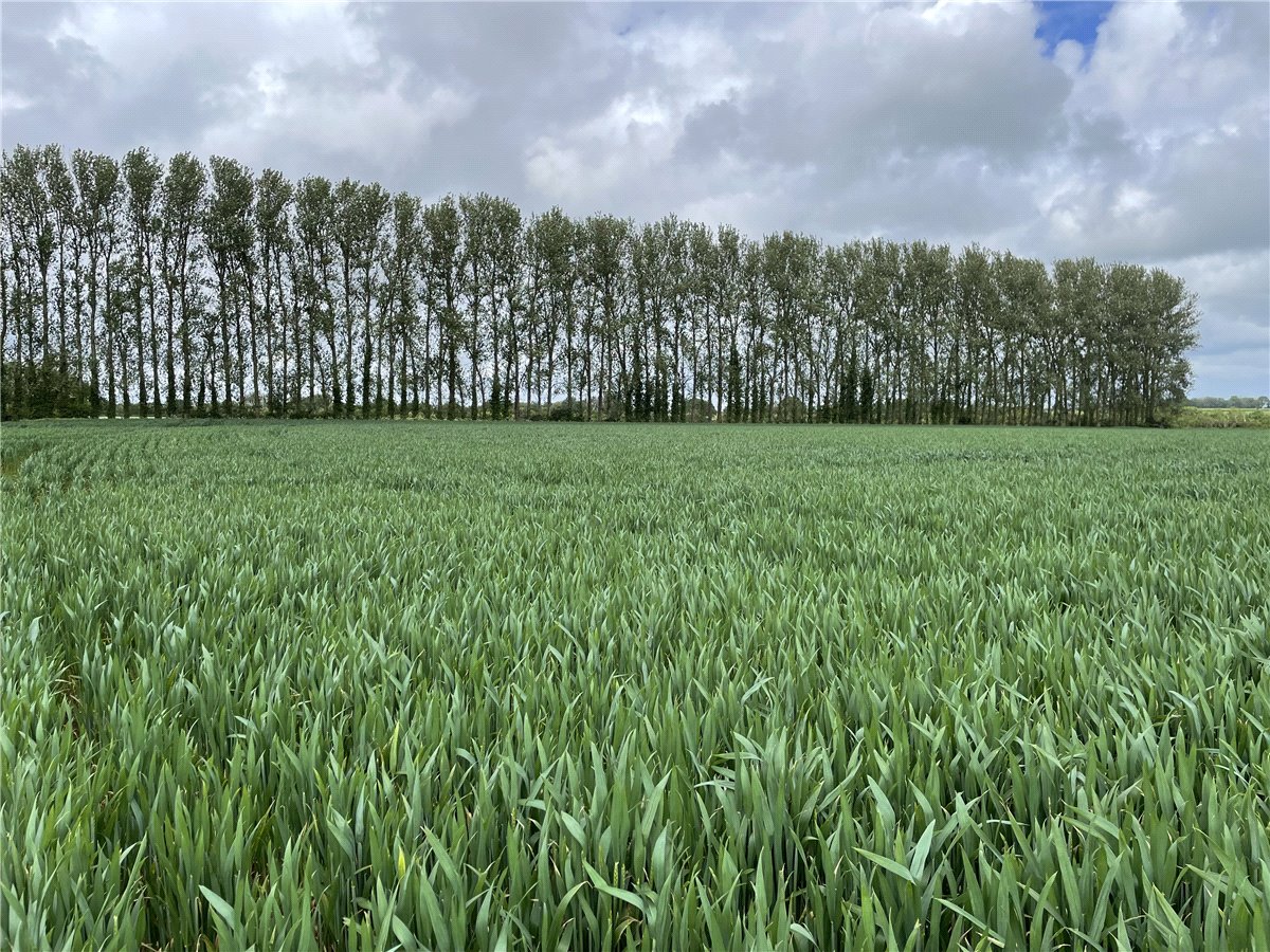 5.96  Land, Land At Seavington St. Michael, Somerset, TA13 - Sold, Image 2