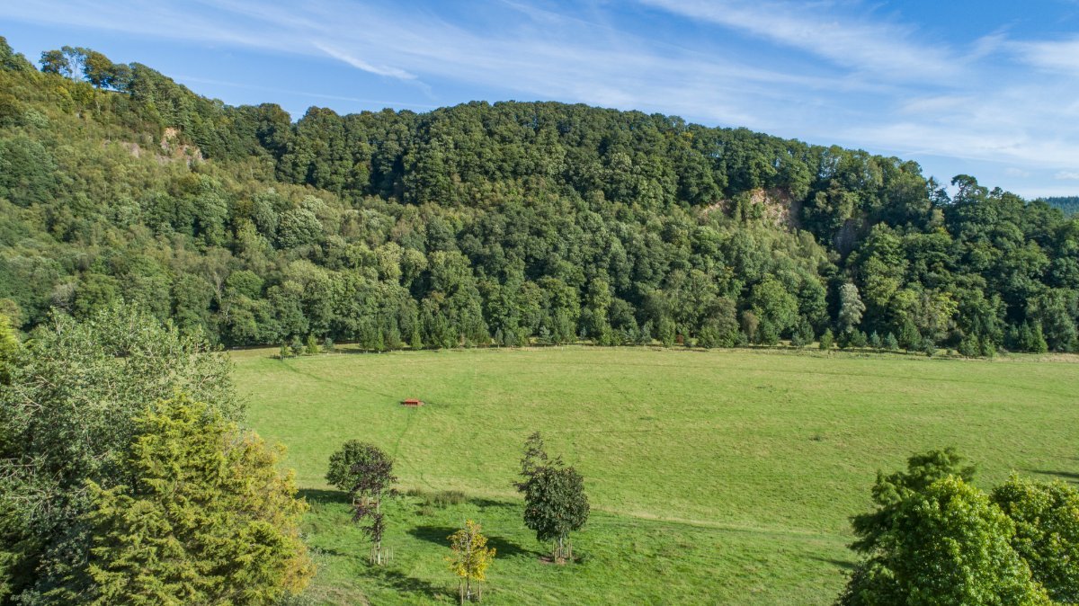 10.92  Land, Bampton, Tiverton, EX16 - Available