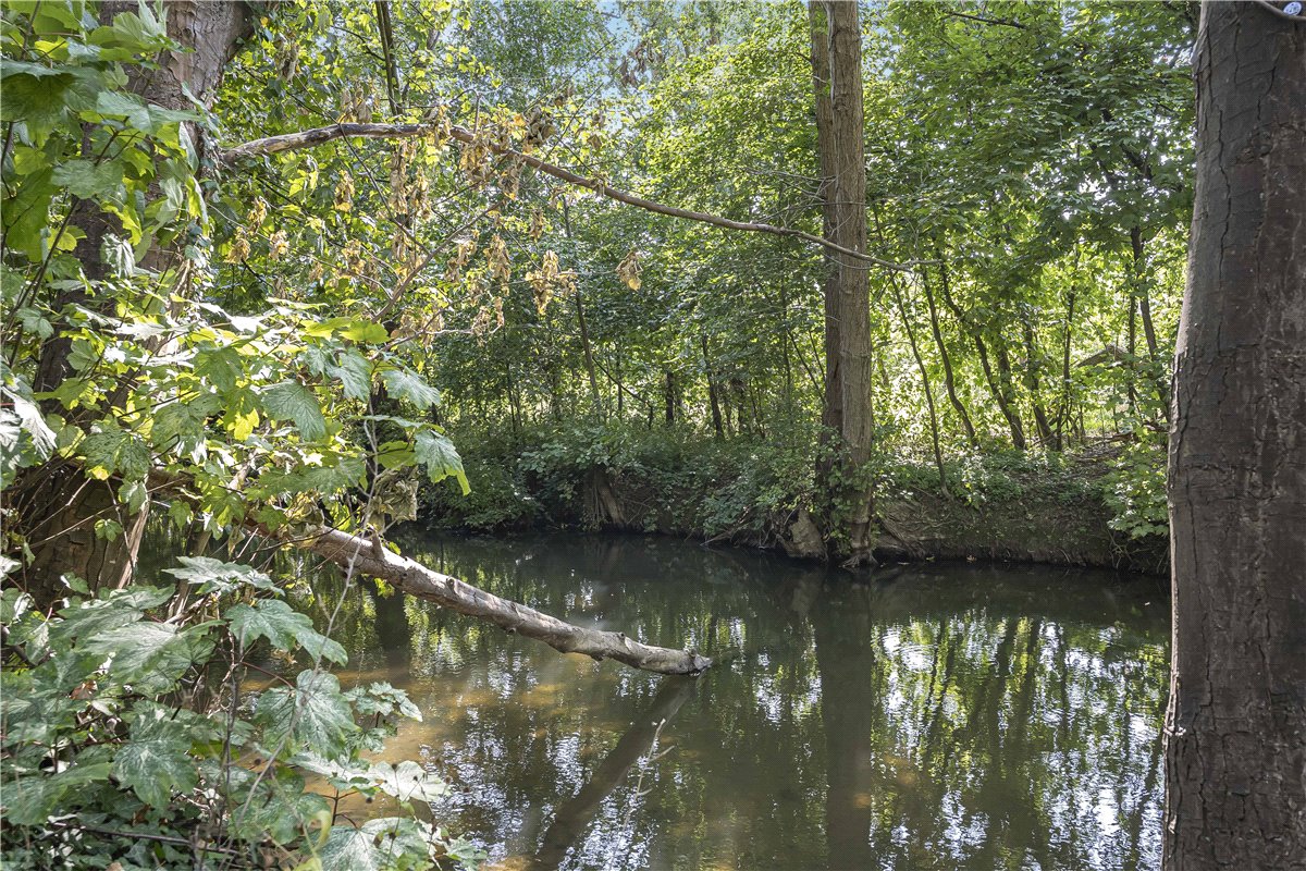 4 bedroom House, Baynhams Drive, Oxford, OX2 - Sold, Image 21