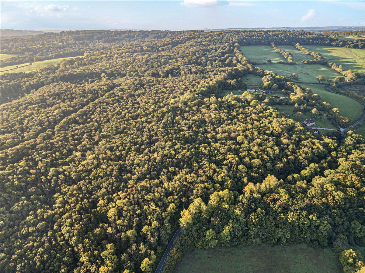 25.49  Land, Blake's Copse and Whitford Copse, Corfe, TA3 - Sold, Image 4