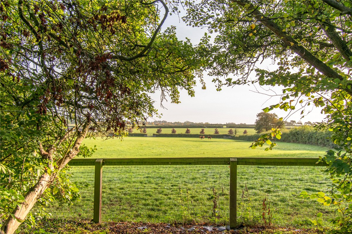 0.22  Development Land, Church Lane, Cheveley, CB8 - Available, Image 4