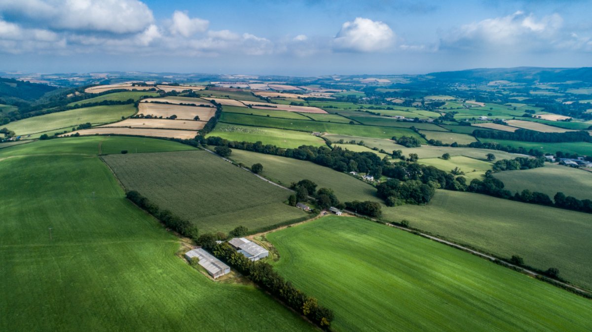   Development Land, Development Site At Hartrow Farm, Lydeard St. Lawrence, TA4 - Sold, Image 2