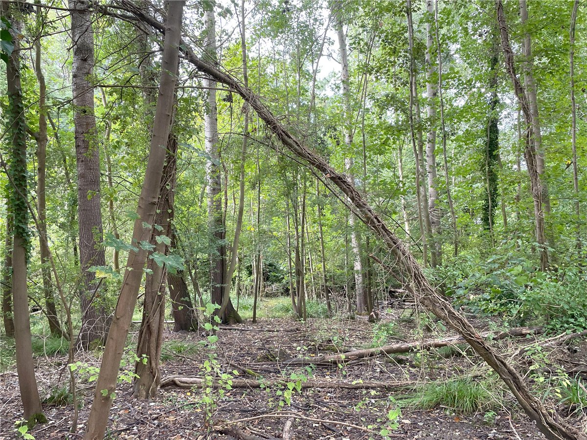 3.84  Land, Whittlesford, South Cambridgeshire, CB22 - Available, Image 6