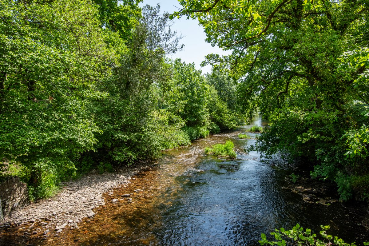   Land, Lot 7: Single Bank Fishing, Perry Farm, Dulverton, TA22 - Available