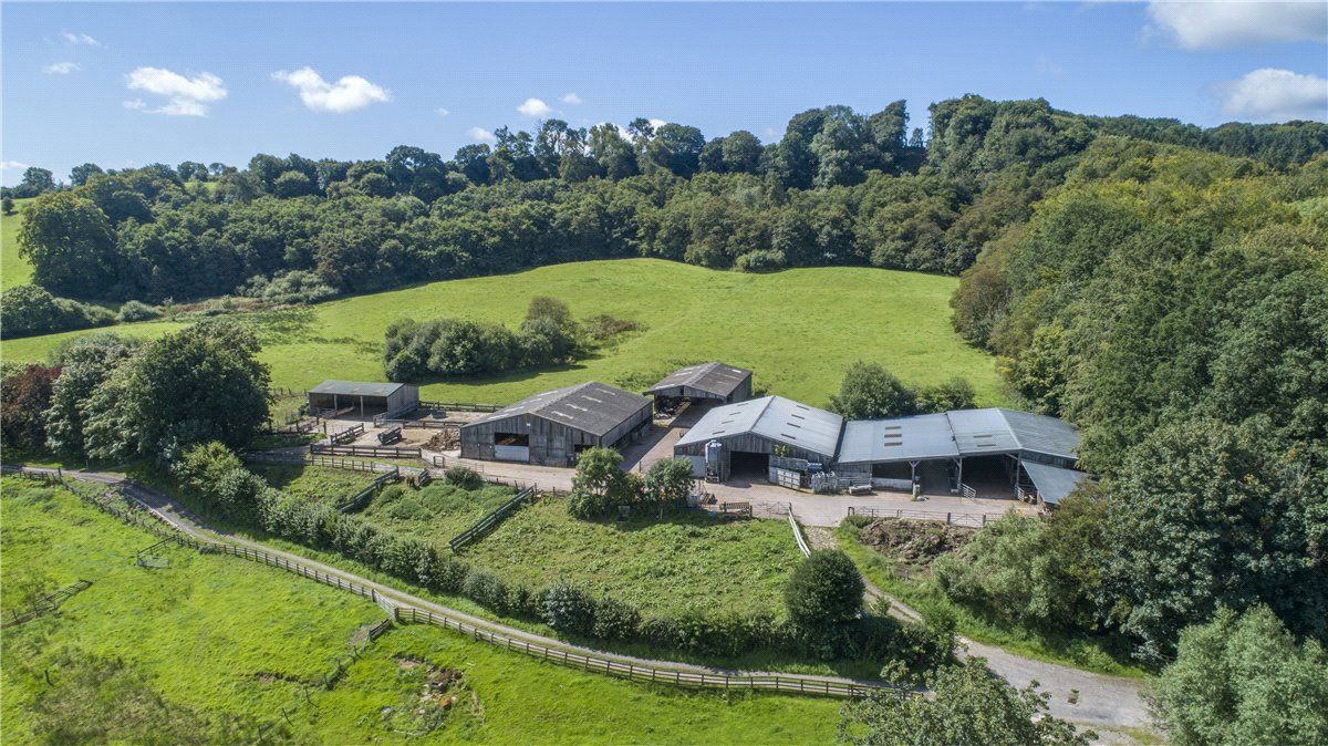227  Farm, Buckland St. Mary, Chard, TA20 - Available, Image 16