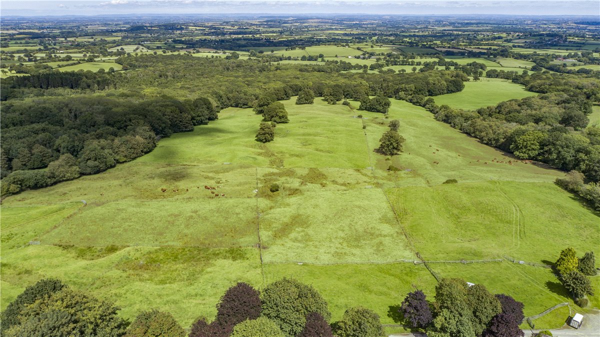 227  Farm, Buckland St. Mary, Chard, TA20 - Available, Image 11