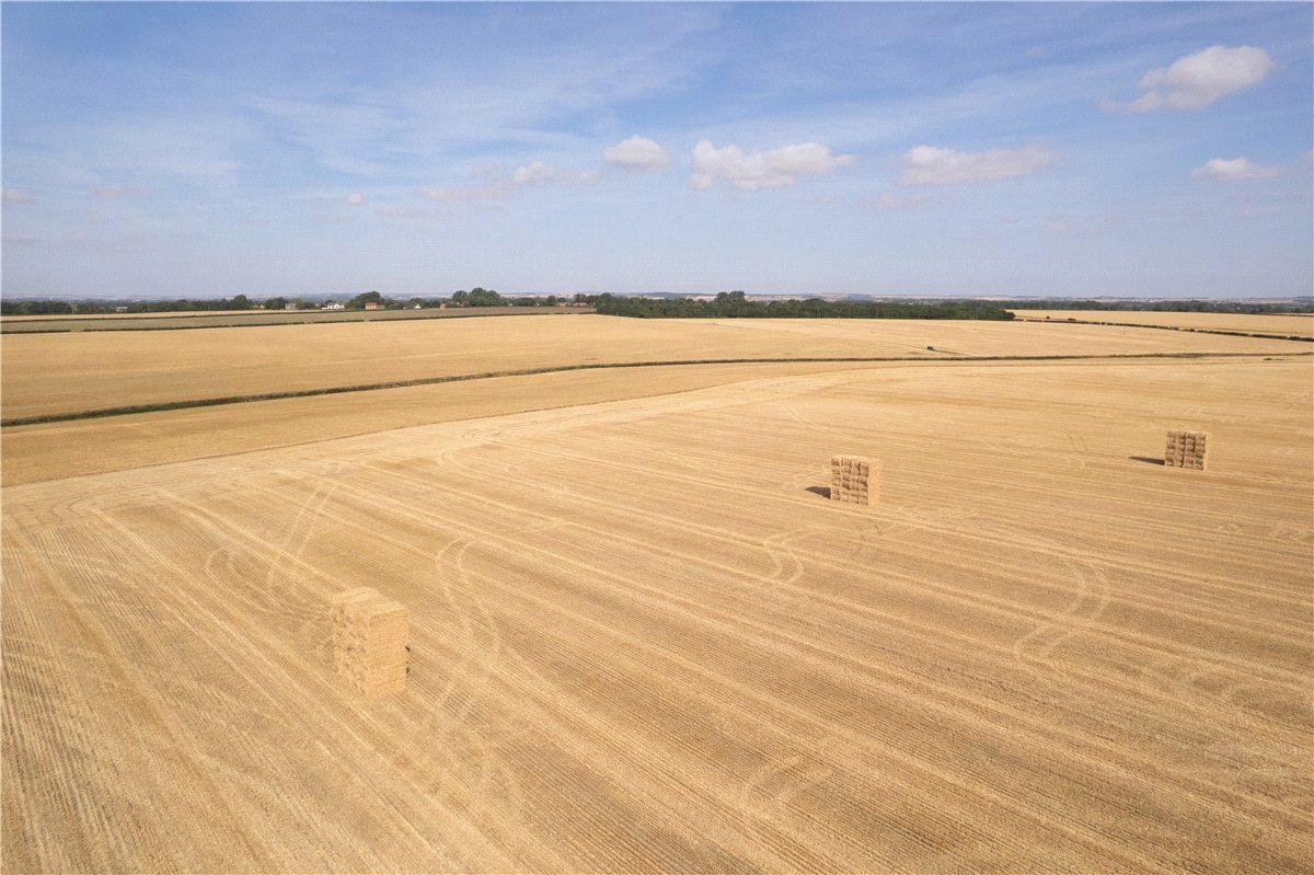   Land, Lot 2 - Land At Beeford and Foston, Beeford, YO25 - Available, Image 1