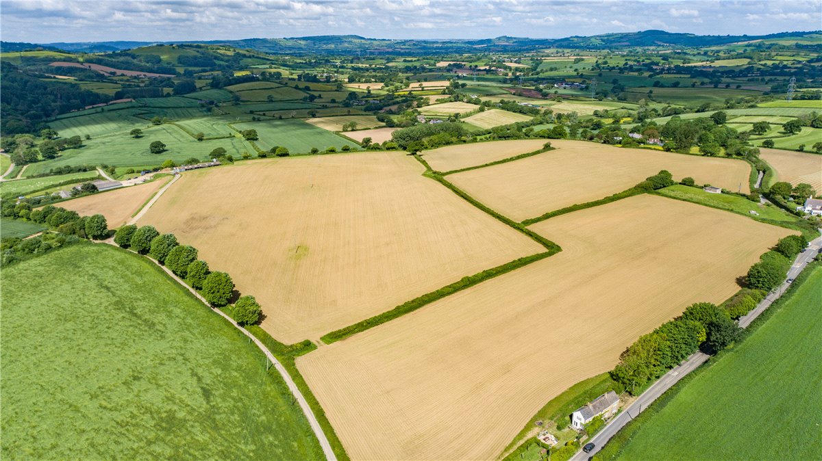 518  Farm, Dottery, Bridport, DT6 - Sold, Image 15