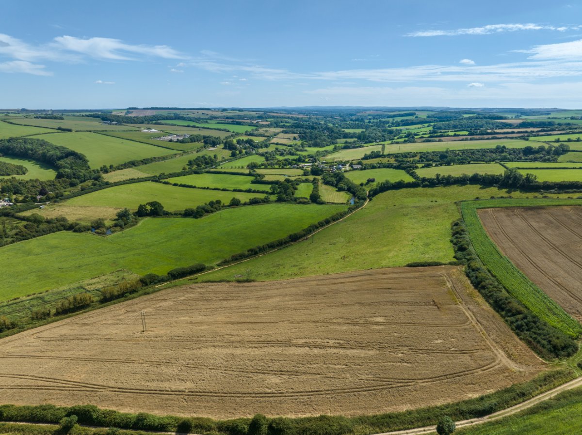 276.92  Farm, Cruxton Manor Farm, Cruxton, DT2 - Available, Image 2