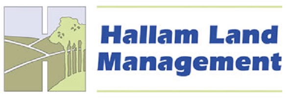hallam logo