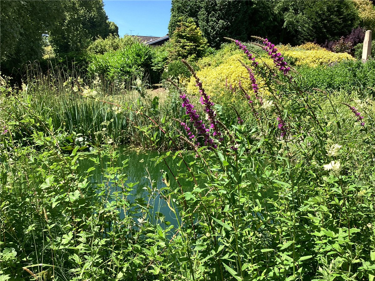 5 bedroom House, Lynch Hill Park, Whitchurch, RG28 - Sold STC, Image 1