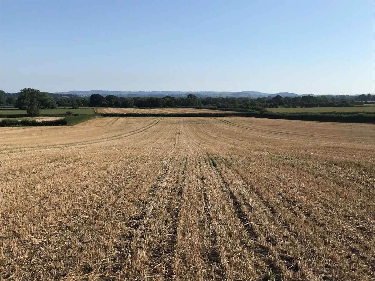 71.39  Land, Taunton, Somerset, TA3 - Sold