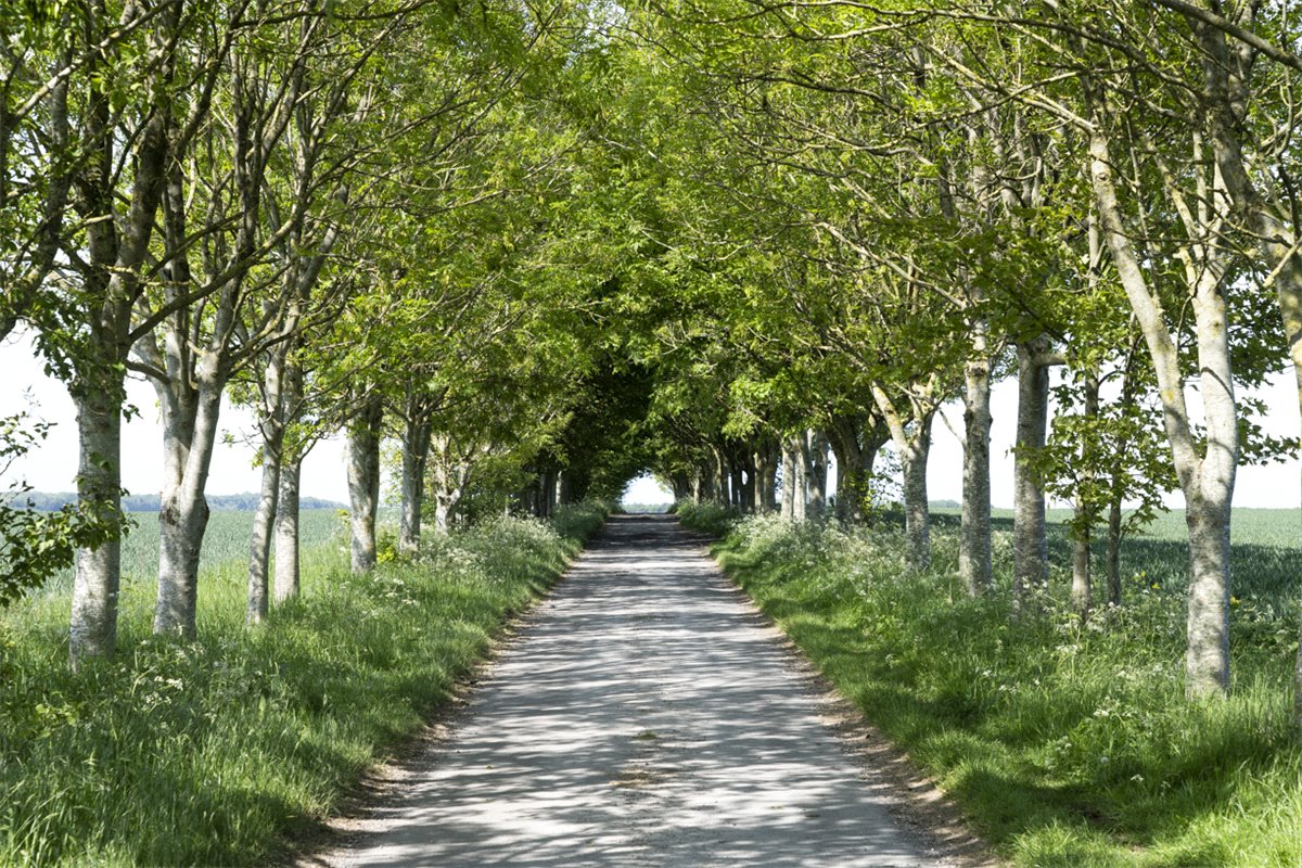 482.71  Farm, Collingbourne Kingston, Marlborough, SN8 - Sold, Image 10