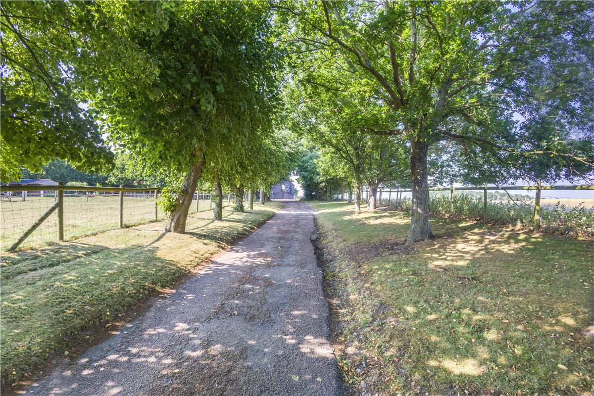   Farm, Cookley, Halesworth, IP19 - Available, Image 58