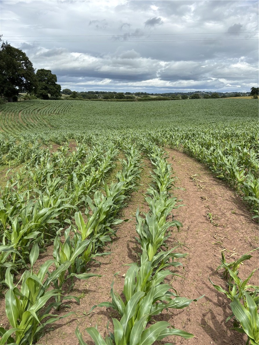 0 bedroom Residential, Arable Land At Gypsy Corner, Whitchurch, SY13 - Available, Image 2