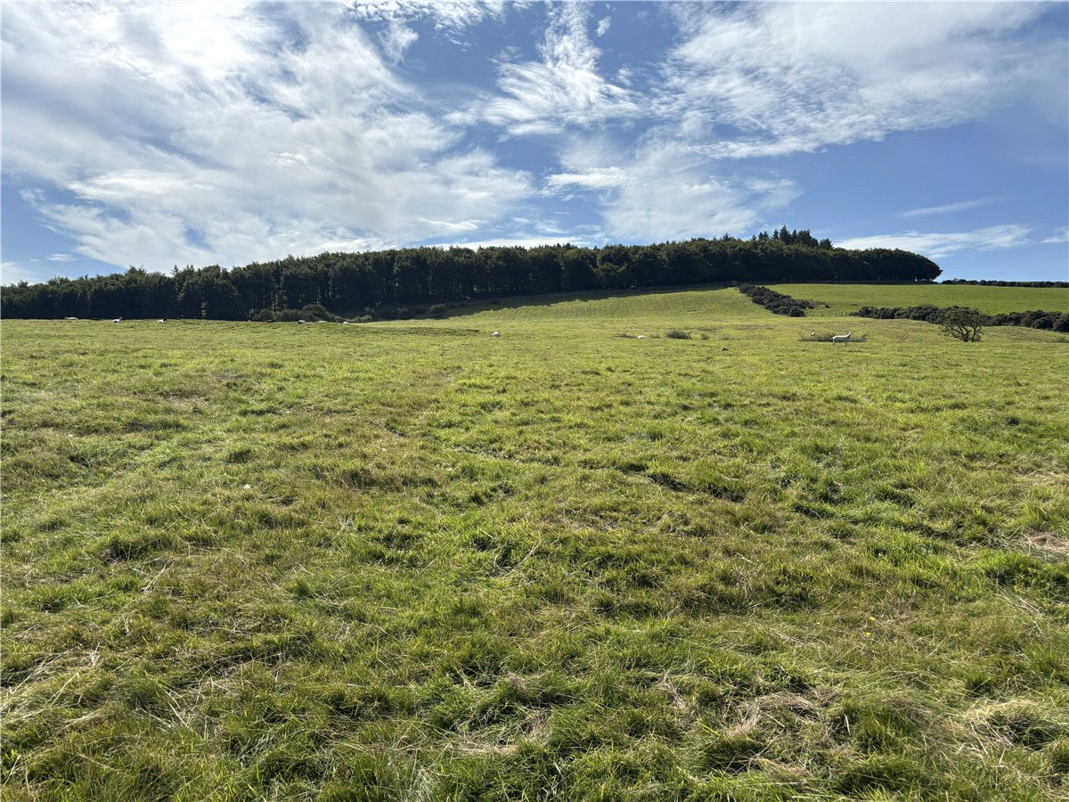   Farm, Lot 4 - Prospect Farm, Cockermouth, CA13 - Available, Image 5