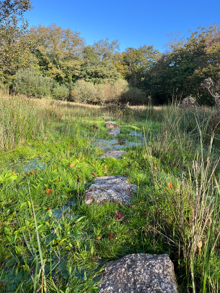 70.72  Land, Zelah, Truro, TR4 - Sold, Image 7