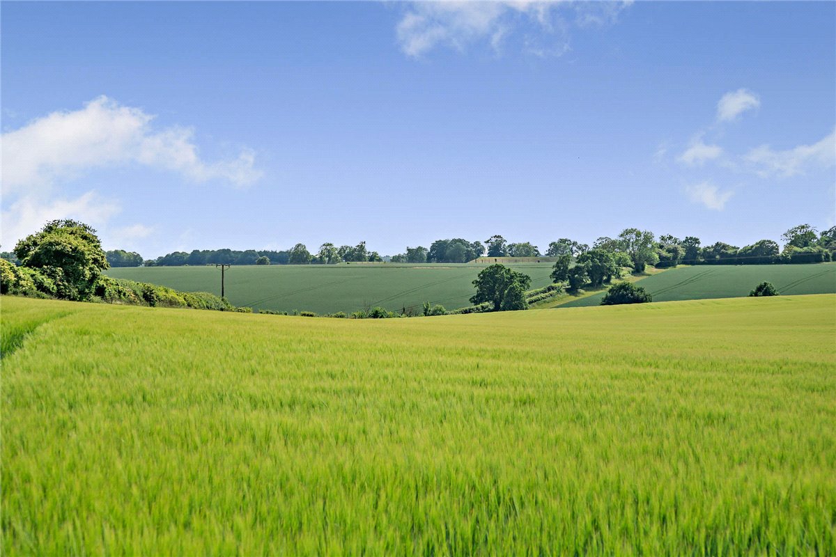 156.06  Land, Leckhampstead, Newbury, RG20 - Sold, Image 2