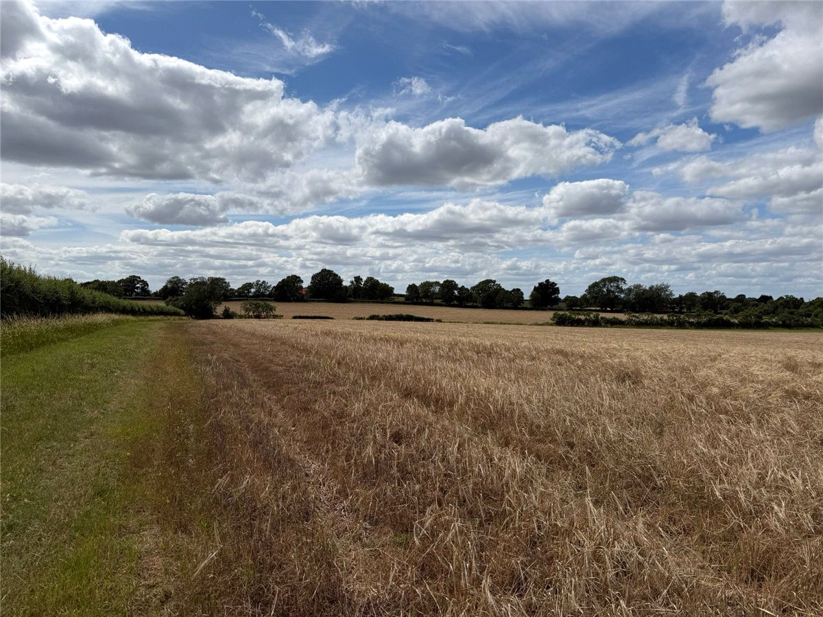   Land, Alcester Road, Worcester, WR7 - Available, Image 3