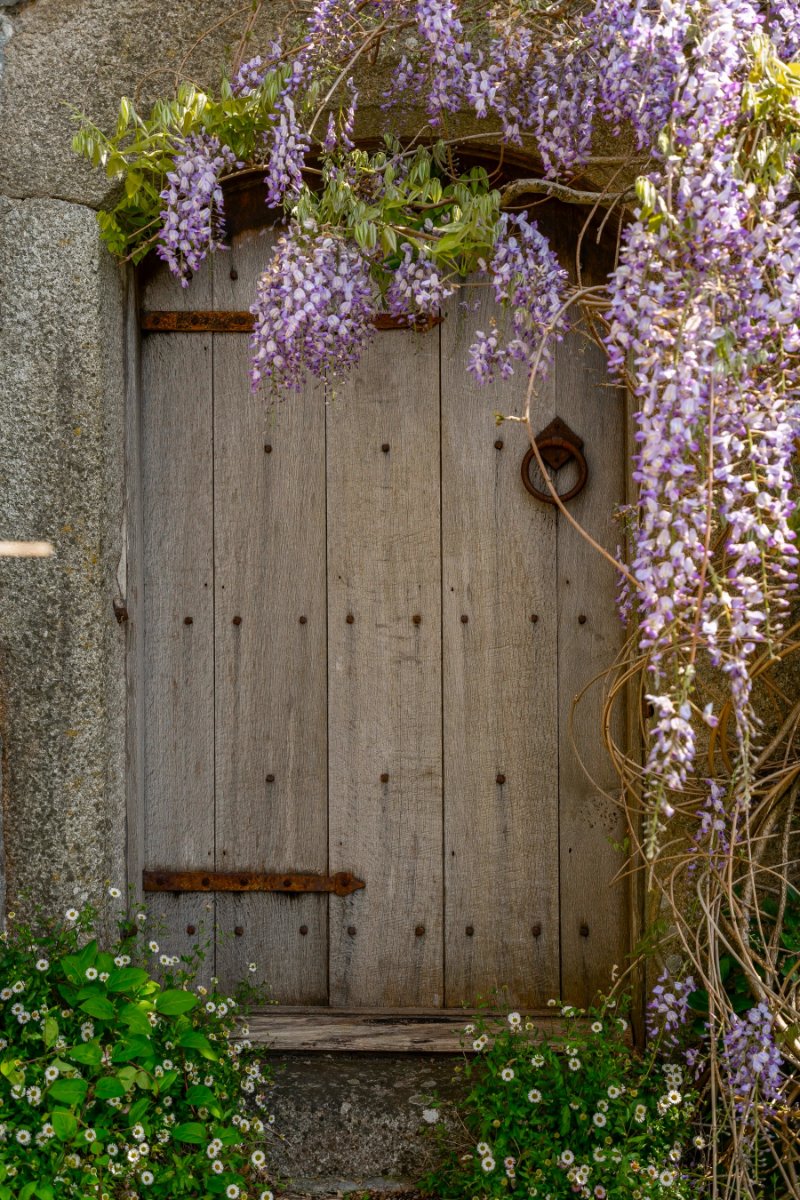 45.57  Farm, Golberdon, Callington, PL17 - Sold, Image 33