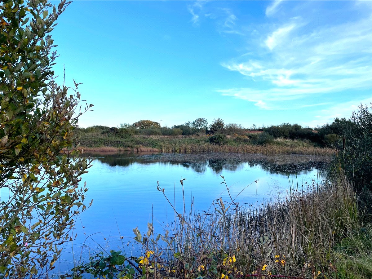 16.98  Land, Trewint, Altarnun, PL15 - Sold, Image 12