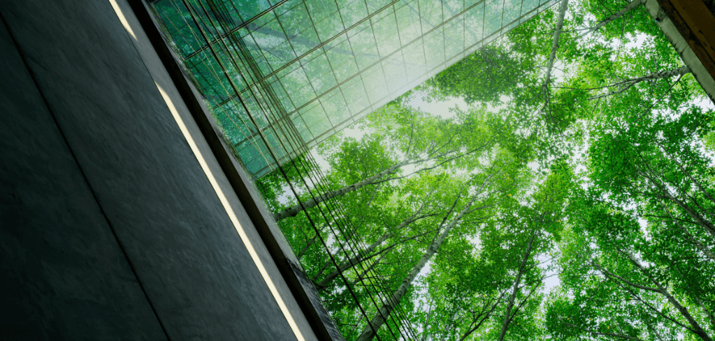 Looking up through glass ceiling of modern building at lush green treetops against bright sky.
