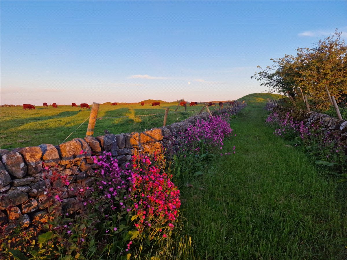 4 bedroom House, Greenhow Hill, Near Harrogate, HG3 - Sold STC, Image 21