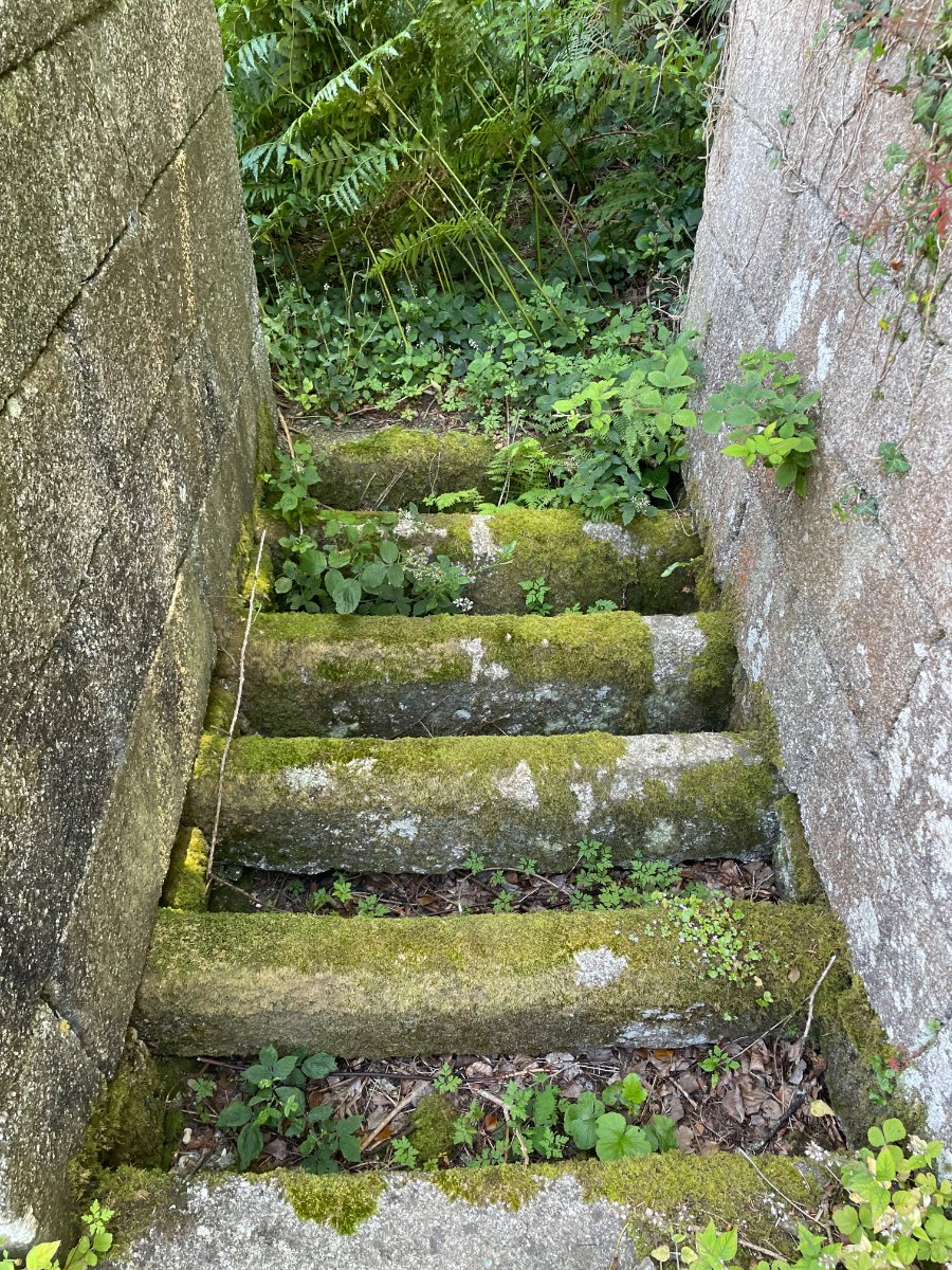 41.72  Land, Praze, Camborne, TR14 - Sold, Image 9