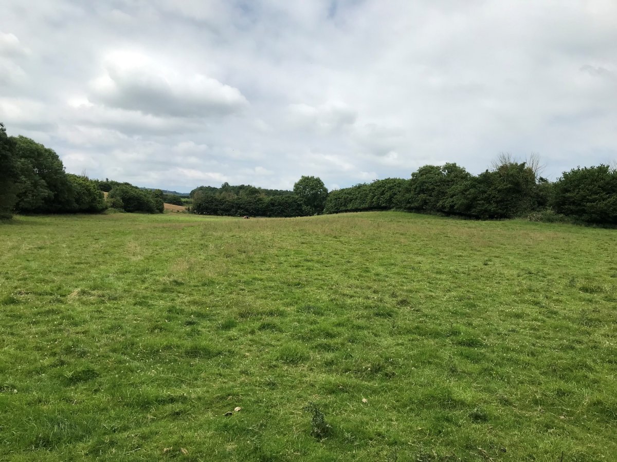 22.4  Land, Lydeard St. Lawrence, Taunton, TA4 - Sold