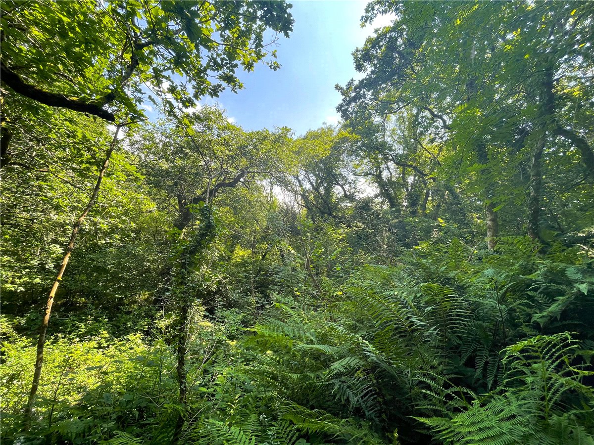 19.42  Land, Morwenstow, Bude, EX23 - Sold, Image 3