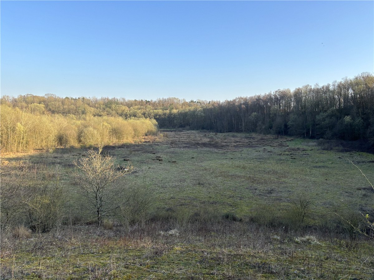 31.94  Land, Land At Charing, Charing, TN27 - Available