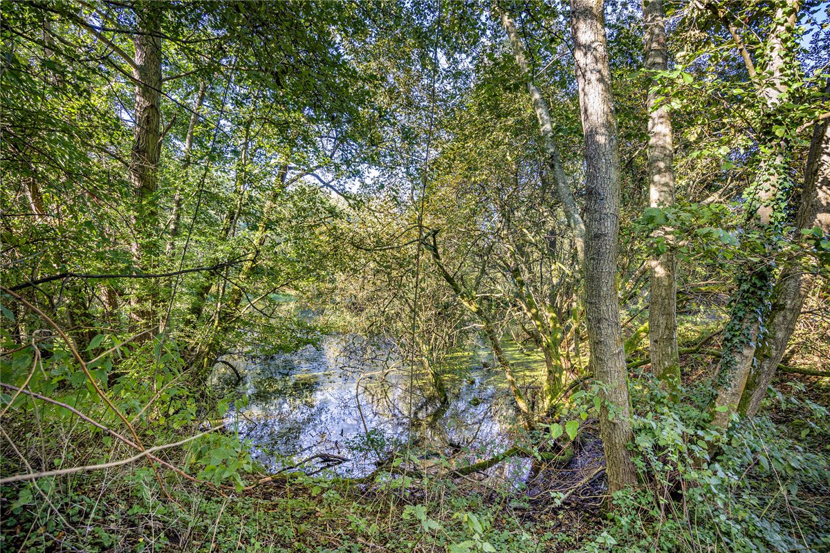 1.39  Land, Lower Way, Thatcham, RG19 - Sold, Image 7