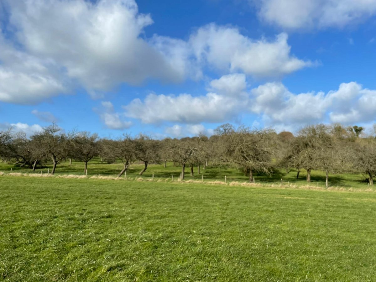 24.51  Land, Pilton, Shepton Mallet, BA4 - Sold