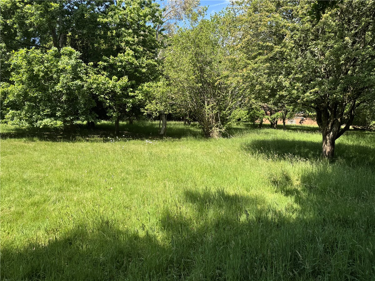 1  Development Land, Andover Road, Highclere, RG20 - Sold STC, Image 3