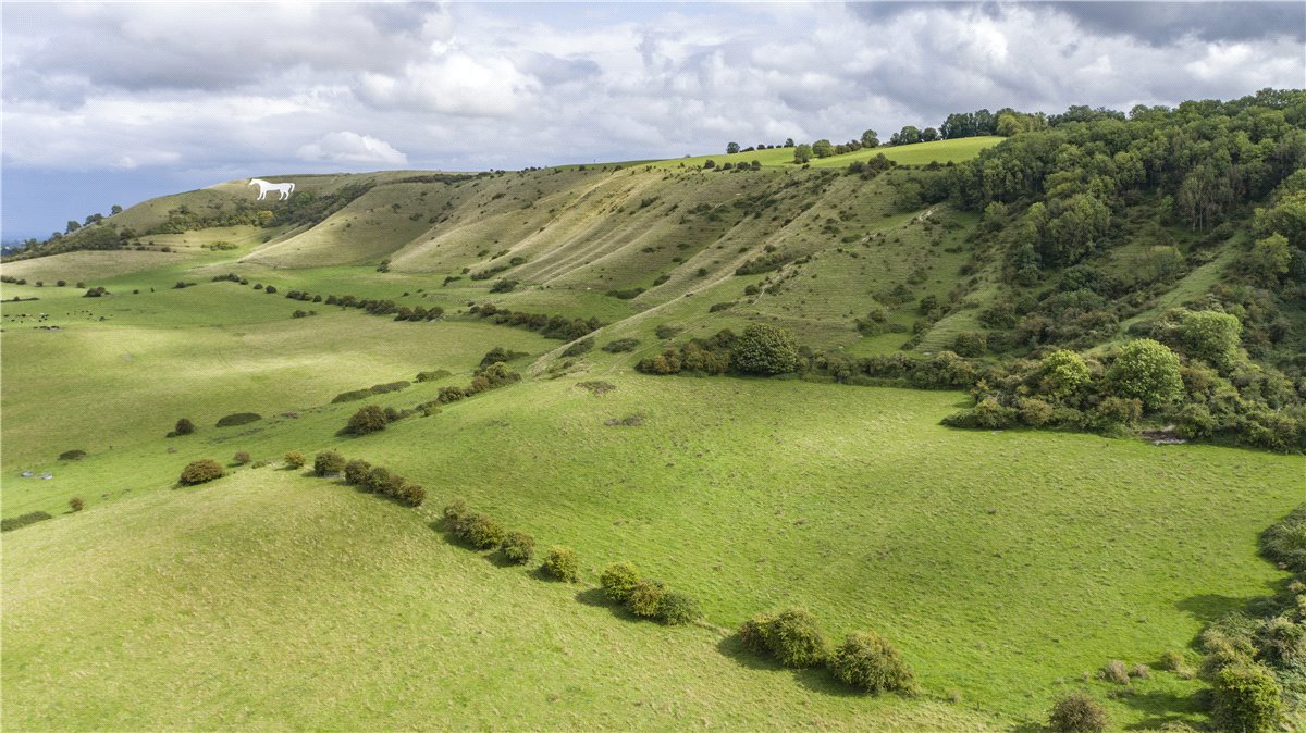 155  Farm, Bratton Road, Westbury, BA13 - Sold, Image 12