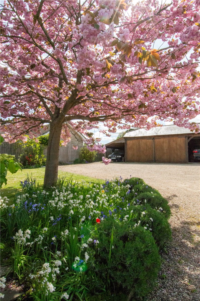 4 bedroom Cottage, Newbury Road, Wickham, RG20 - Available, Image 18