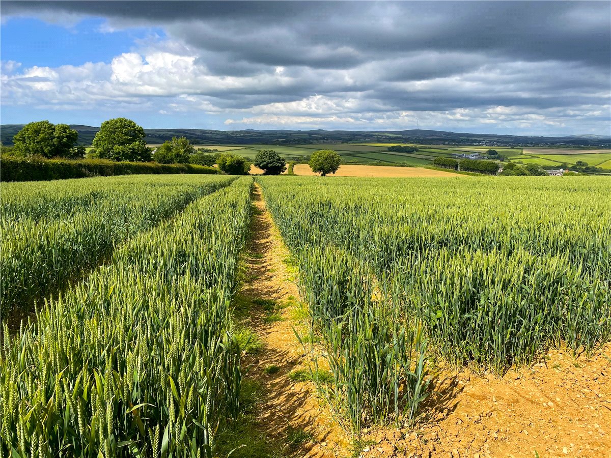 19.79  Development Land, East Taphouse, Liskeard, PL14 - Sold, Image 3