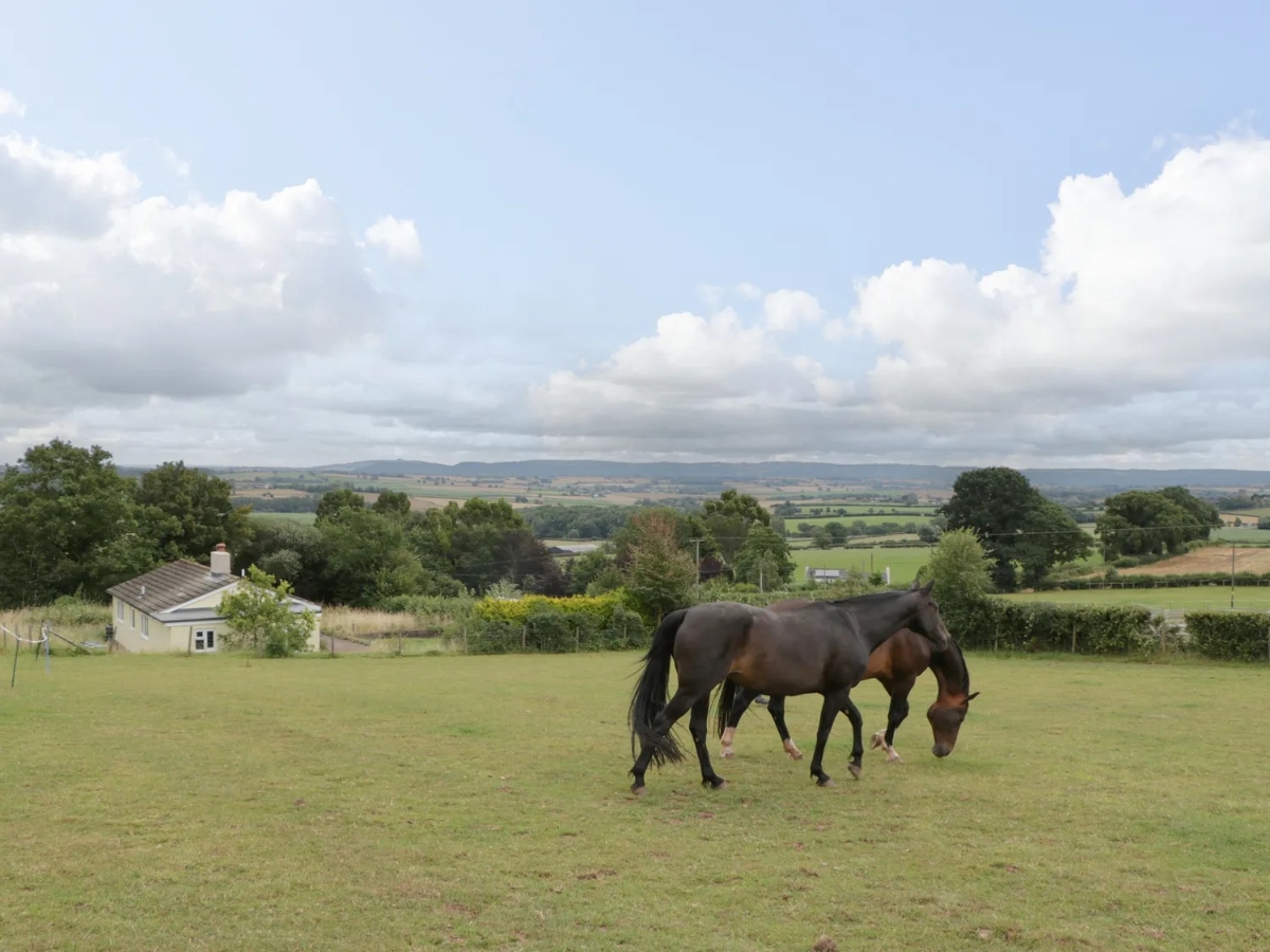 9 bedroom House, St. Weonards, Hereford, HR2 - Available, Image 36