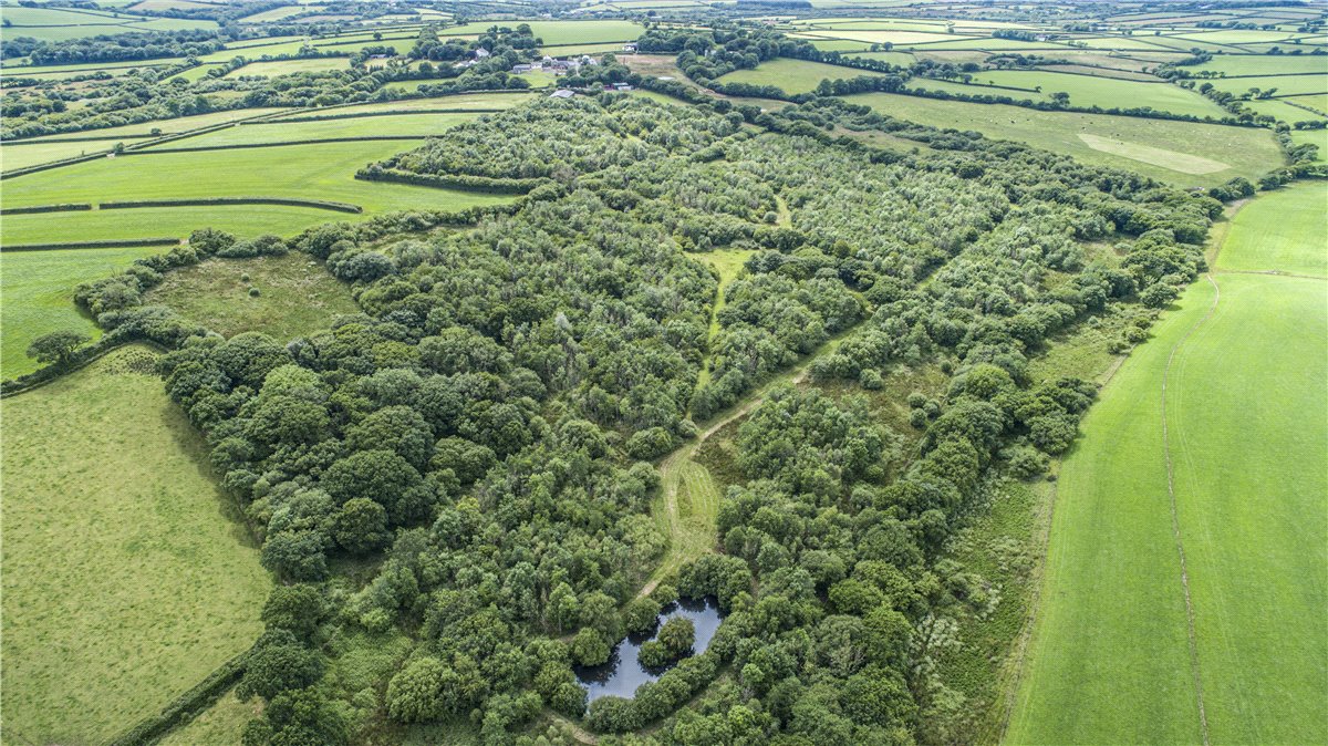 39.64  Land, Stow Woods, Ashmansworthy, EX39 - Sold