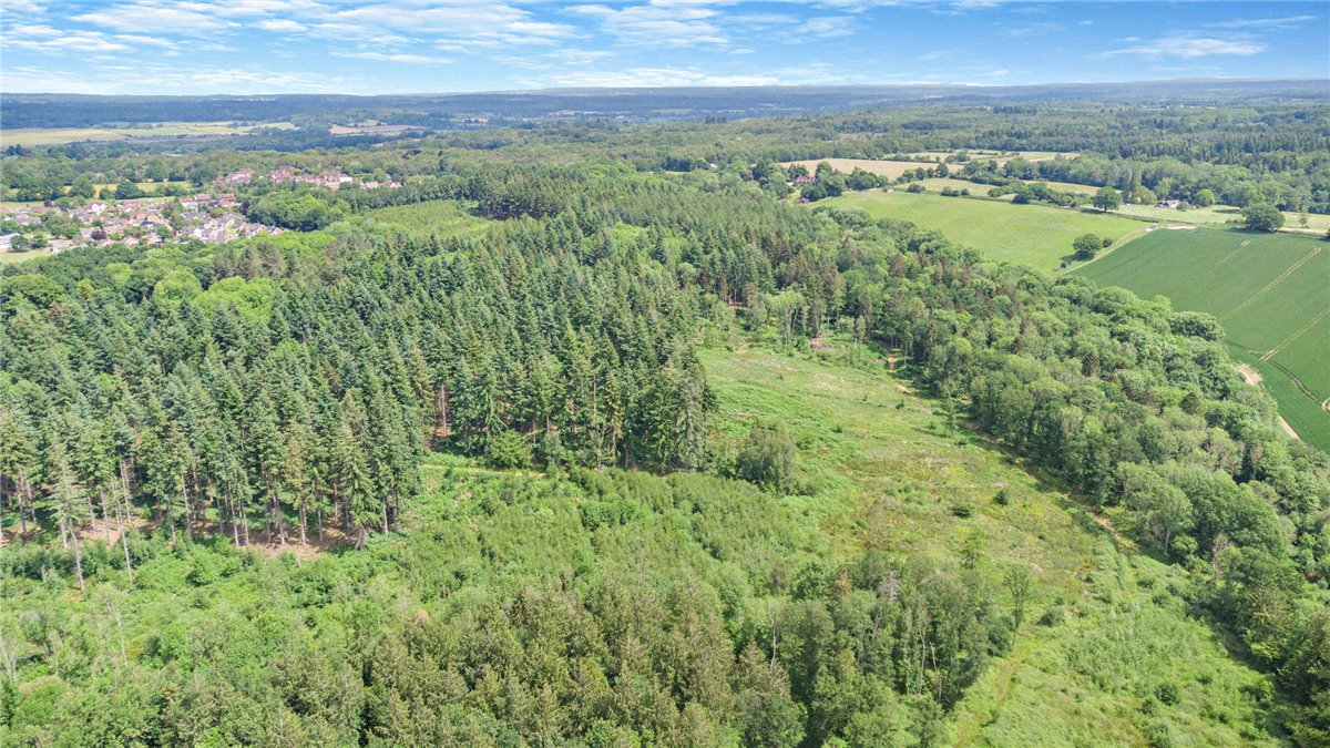 77.2  Land, Broad Lane, Upper Bucklebury, RG7 - Available