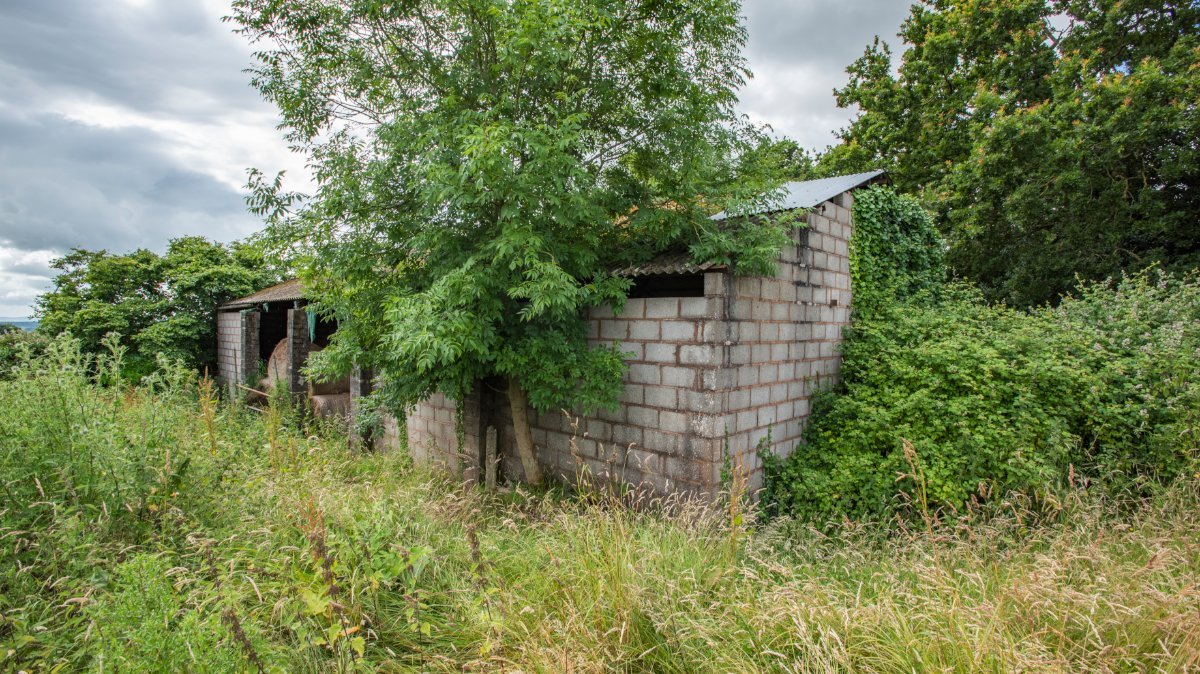 9.81  Land, Greenway Farm, Thurloxton, TA2 - Available, Image 3