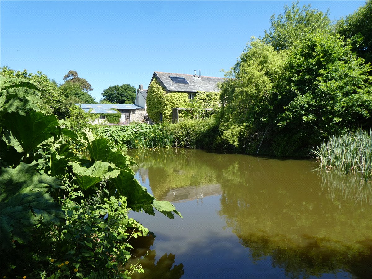 0 bedroom House, Winkleigh, Devon, EX19 - Available, Image 2