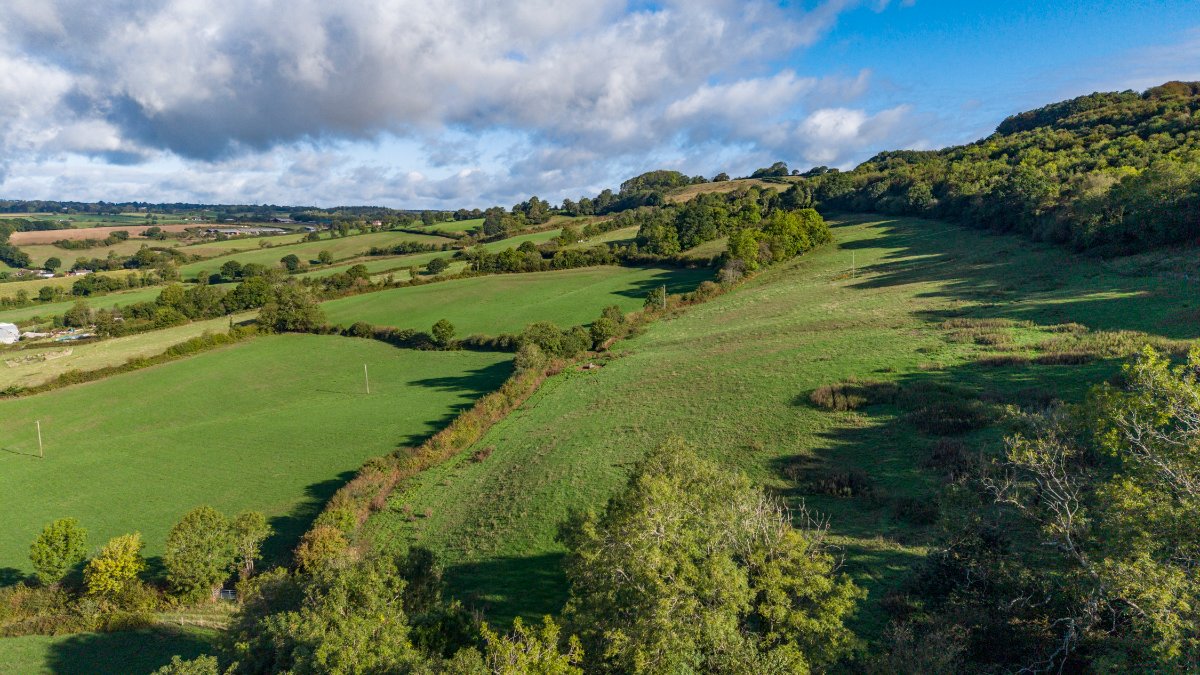 127.45  Farm, Northleigh, Colyton, EX24 - Available, Image 33