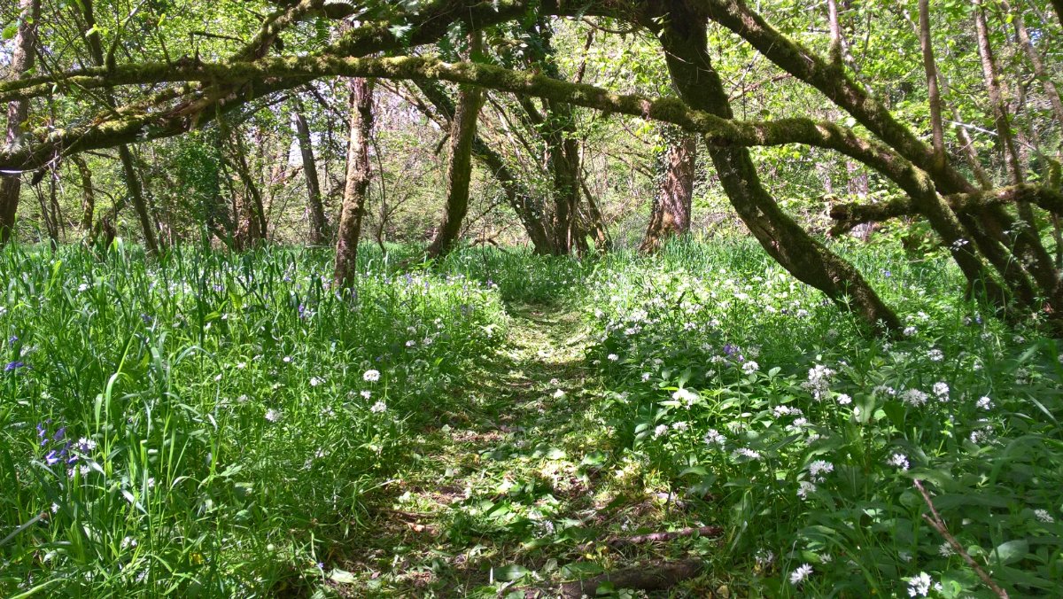 8 bedroom Residential, Buckland Brewer, Bideford, EX39 - Available, Image 14