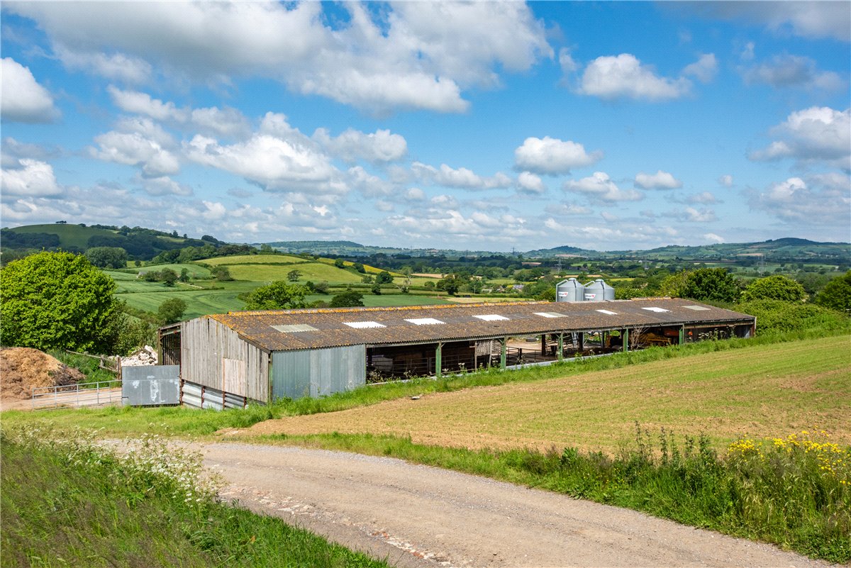 518  Farm, Dottery, Bridport, DT6 - Sold, Image 19