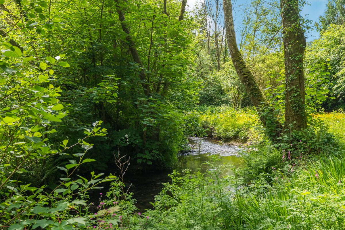 17.7  Country Estate, Muddiford, Barnstaple, EX31 - Available, Image 21