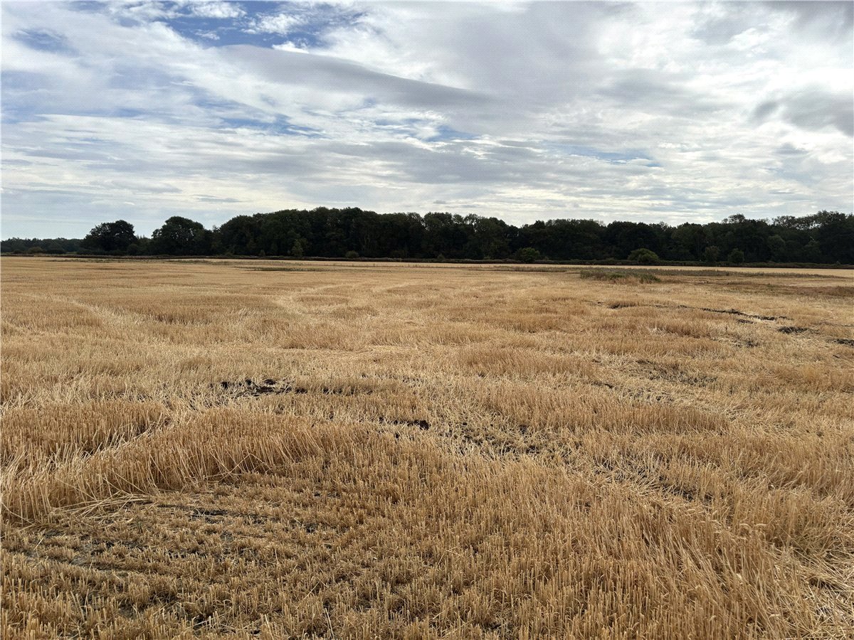   Land, Lot 1 - Land At Owston, Doncaster, DN5 - Available, Image 2