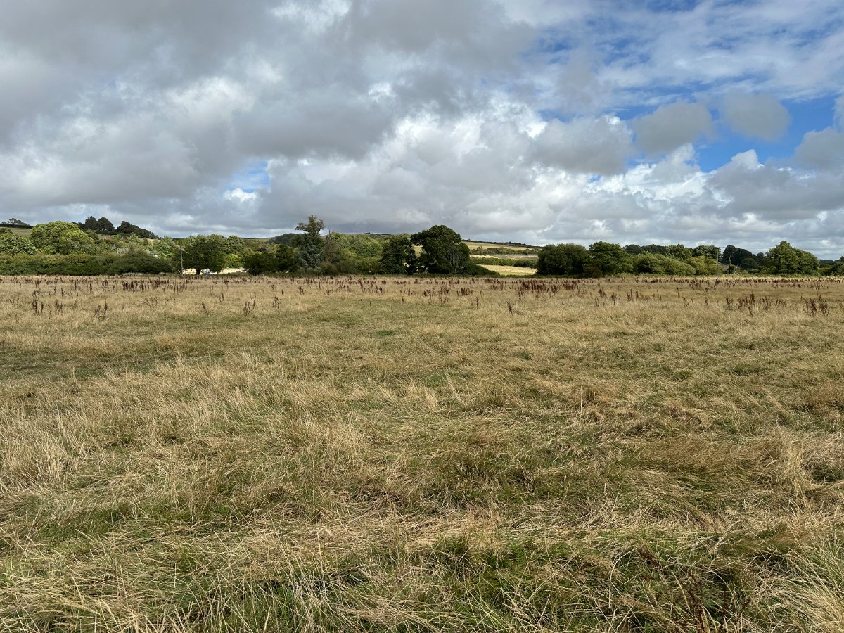 11.19  Land, Lot 6: Land At Cruxton Manor Farm, Cruxton, DT2 - Available, Image 3