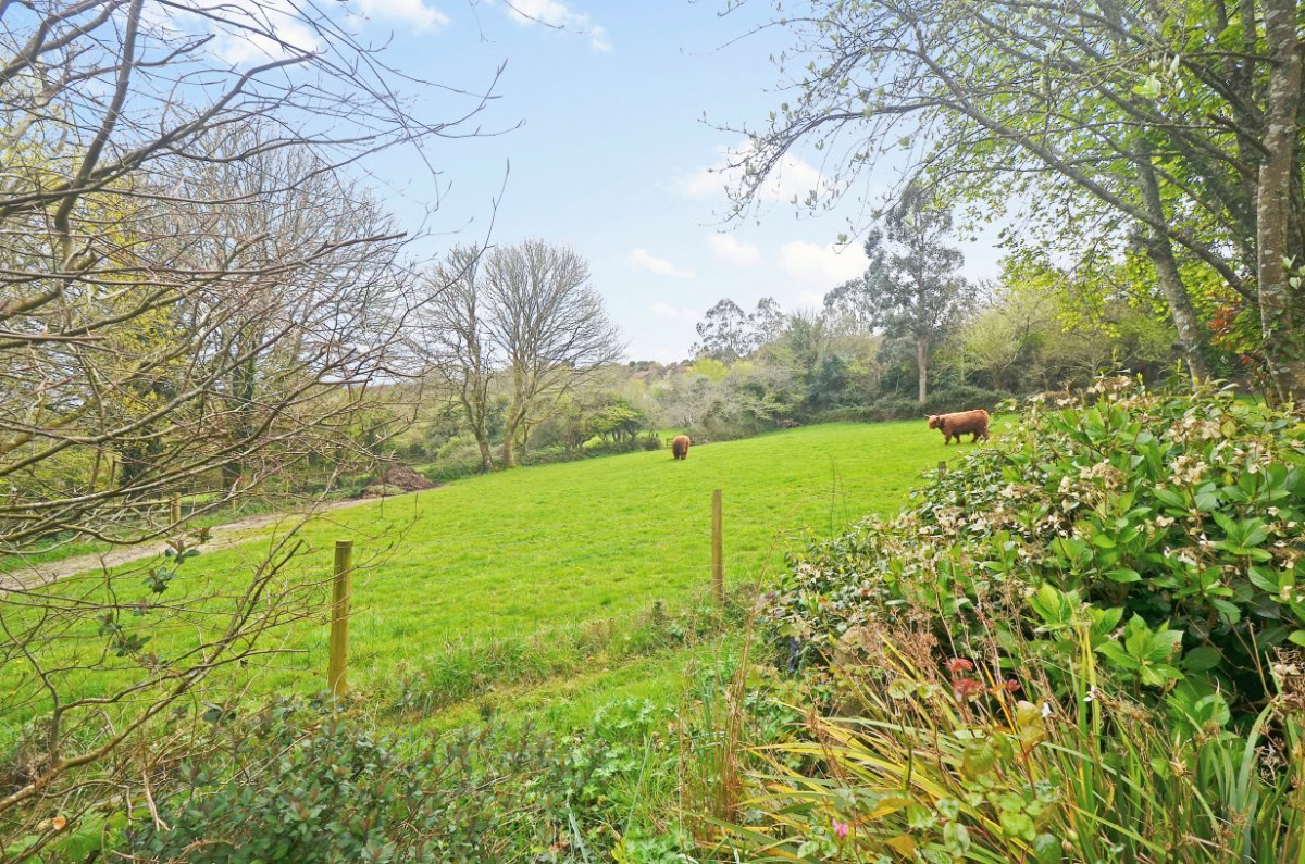 6.83  Land, Hale Mills, Twelveheads, TR4 - Sold STC, Image 29